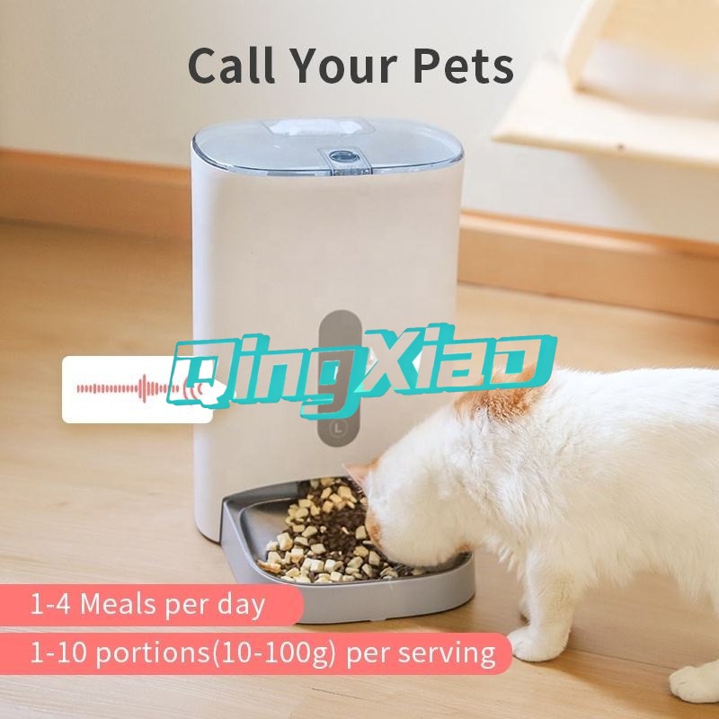 홈 멀티 애완동물 자동 급식기, 고양이와 강아지를 위한 - Smart Home Remote 리뷰 및 가격
