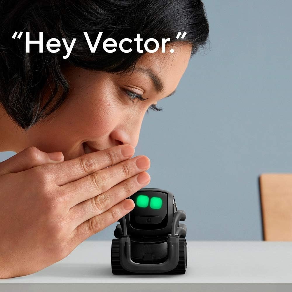 AI ChatGPT 2.0 연결형 로봇 동반자, 얼굴  - Smart Home Remote 리뷰 및 가격